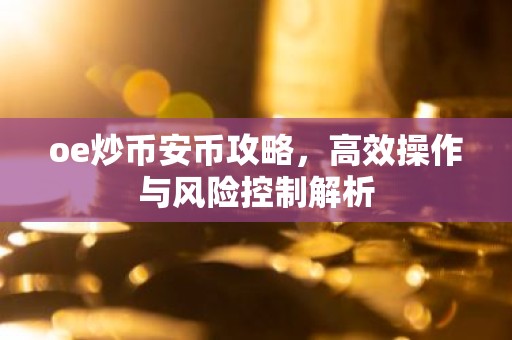 oe炒币安币攻略，高效操作与风险控制解析