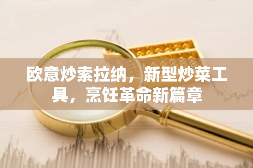 欧意炒索拉纳，新型炒菜工具，烹饪革命新篇章