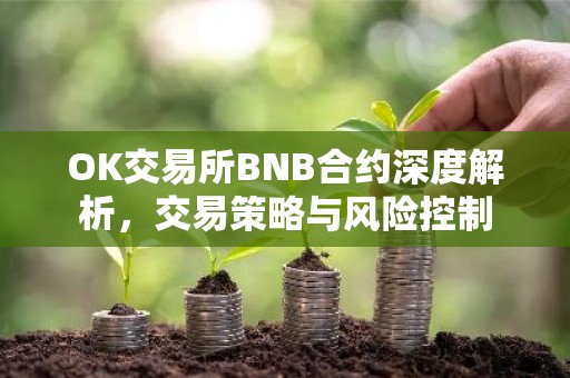 OK交易所BNB合约深度解析，交易策略与风险控制