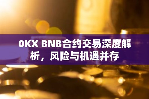 0KX BNB合约交易深度解析，风险与机遇并存