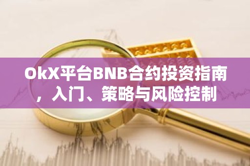 OkX平台BNB合约投资指南，入门、策略与风险控制