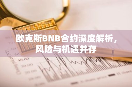 欧克斯BNB合约深度解析，风险与机遇并存