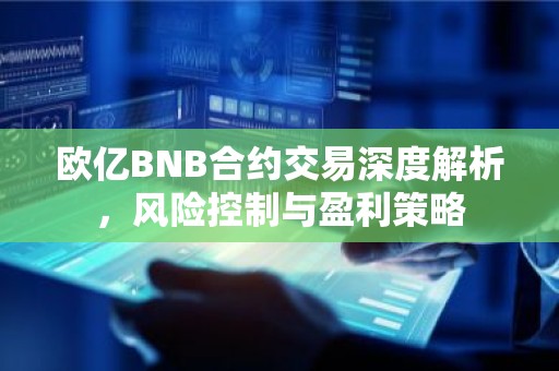 欧亿BNB合约交易深度解析，风险控制与盈利策略