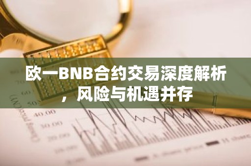 欧一BNB合约交易深度解析，风险与机遇并存