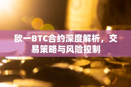 欧一BTC合约深度解析，交易策略与风险控制