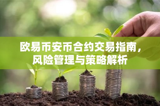 欧易币安币合约交易指南，风险管理与策略解析