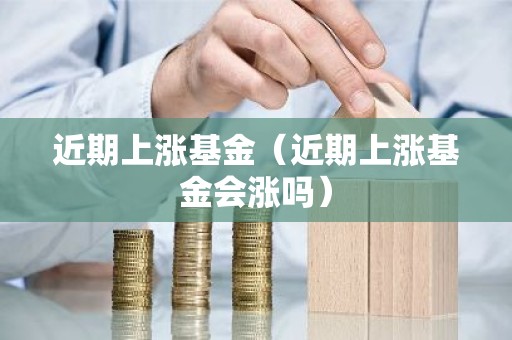 近期上涨基金（近期上涨基金会涨吗）
