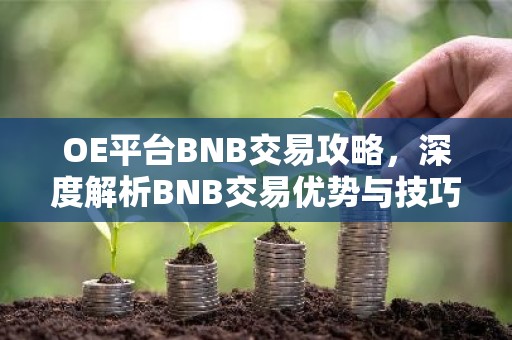 OE平台BNB交易攻略，深度解析BNB交易优势与技巧