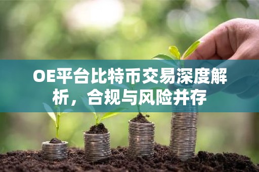 OE平台比特币交易深度解析，合规与风险并存