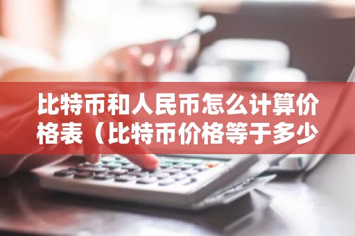 比特币和人民币怎么计算价格表（比特币价格等于多少人民币）
