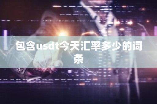 包含usdt今天汇率多少的词条