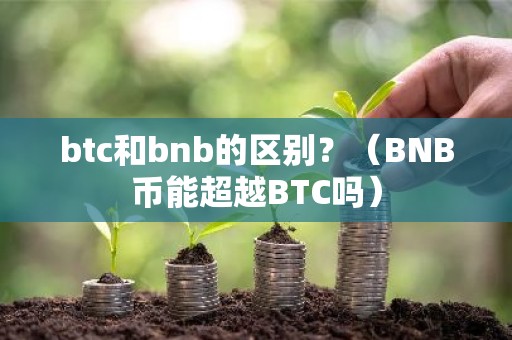 btc和bnb的区别？（BNB币能超越BTC吗）