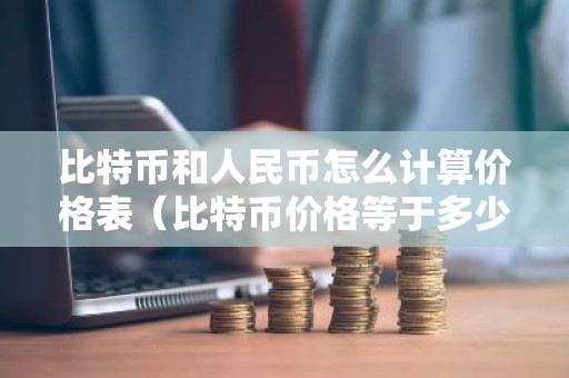 比特币和人民币怎么计算价格表（比特币价格等于多少人民币）