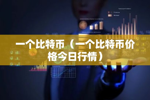 一个比特币（一个比特币价格今日行情）