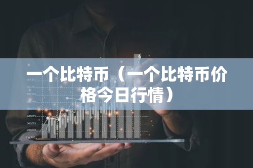 一个比特币（一个比特币价格今日行情）