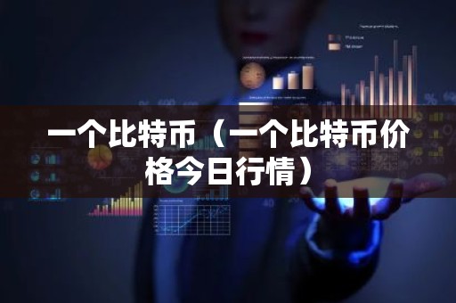 一个比特币（一个比特币价格今日行情）