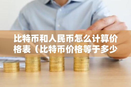 比特币和人民币怎么计算价格表（比特币价格等于多少人民币）