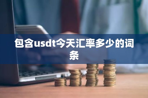 包含usdt今天汇率多少的词条