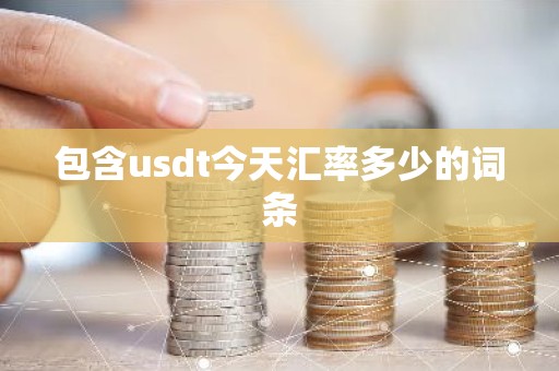 包含usdt今天汇率多少的词条