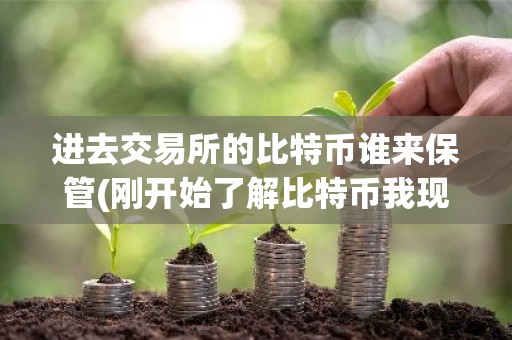 进去交易所的比特币谁来保管(刚开始了解比特币我现在要在哪个平台交易比较安全求大神推荐)