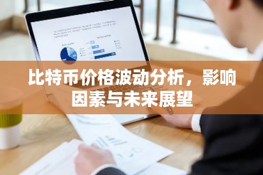 比特币价格波动分析，影响因素与未来展望