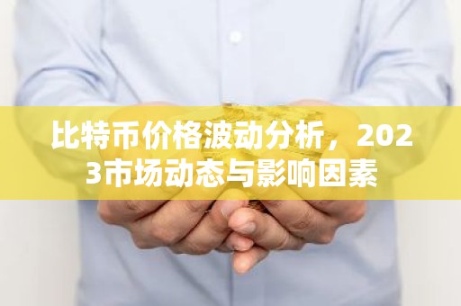 比特币价格波动分析，2023市场动态与影响因素