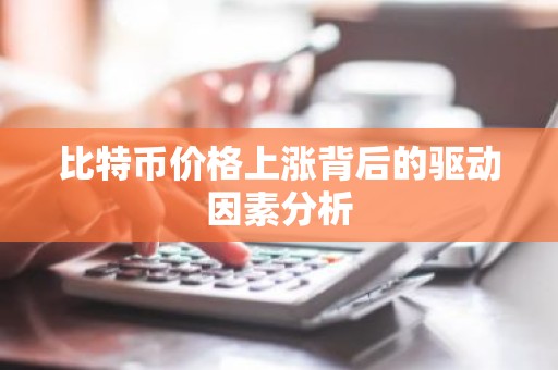 比特币价格上涨背后的驱动因素分析