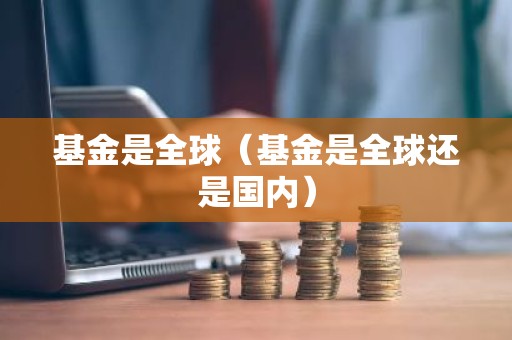基金是全球（基金是全球还是国内）