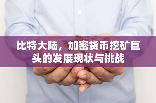比特大陆，加密货币挖矿巨头的发展现状与挑战