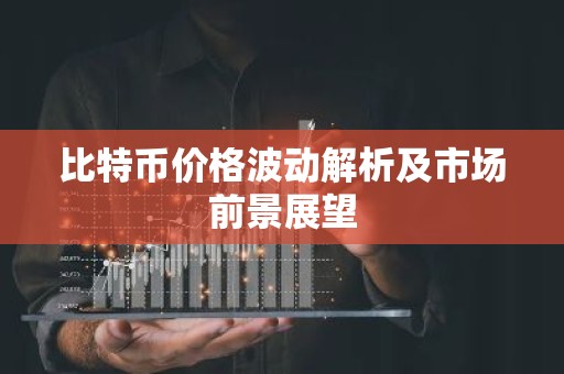 比特币价格波动解析及市场前景展望