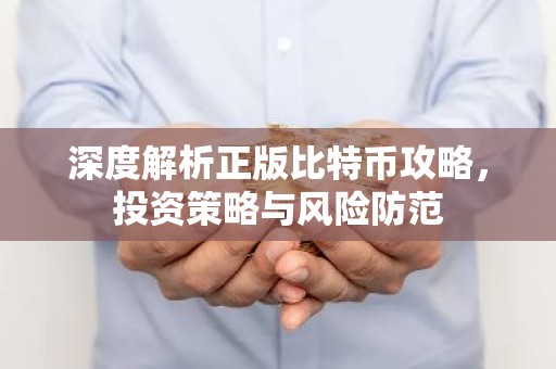 深度解析正版比特币攻略，投资策略与风险防范