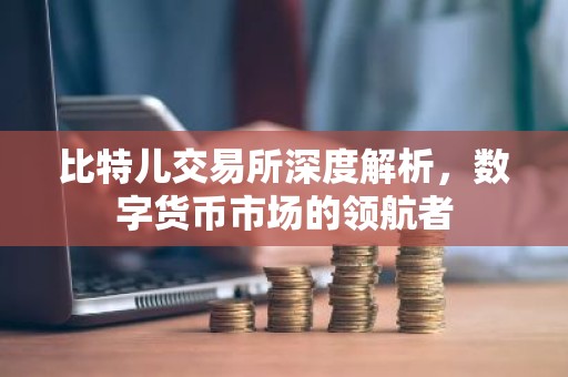 比特儿交易所深度解析，数字货币市场的领航者