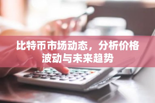 比特币市场动态，分析价格波动与未来趋势