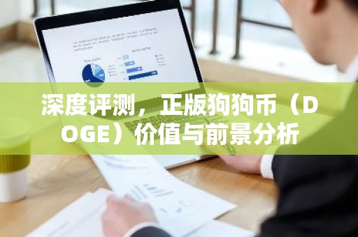 深度评测，正版狗狗币（DOGE）价值与前景分析
