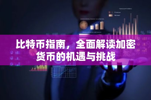比特币指南，全面解读加密货币的机遇与挑战
