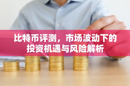 比特币评测，市场波动下的投资机遇与风险解析