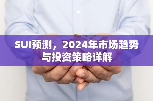 SUI预测，2024年市场趋势与投资策略详解