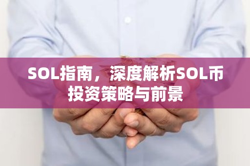 SOL指南，深度解析SOL币投资策略与前景