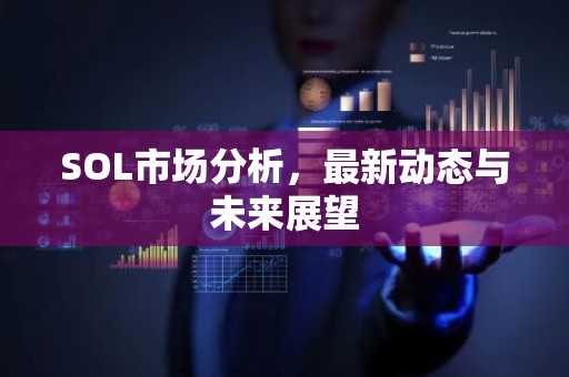 SOL市场分析，最新动态与未来展望