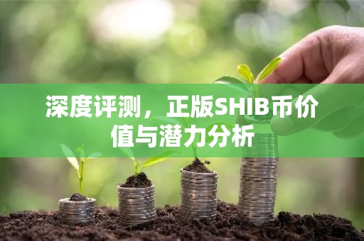 深度评测，正版SHIB币价值与潜力分析