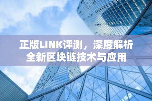 正版LINK评测，深度解析全新区块链技术与应用