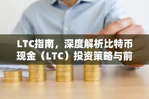 LTC指南，深度解析比特币现金（LTC）投资策略与前景