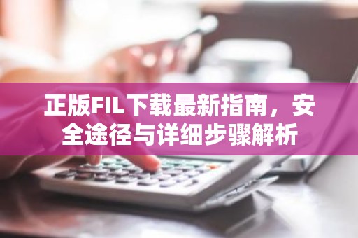 正版FIL下载最新指南，安全途径与详细步骤解析