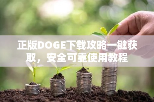 正版DOGE下载攻略一键获取，安全可靠使用教程