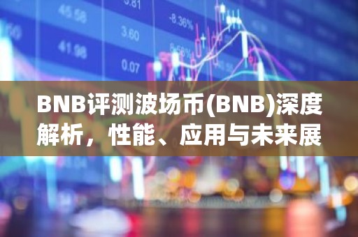 BNB评测波场币(BNB)深度解析，性能、应用与未来展望