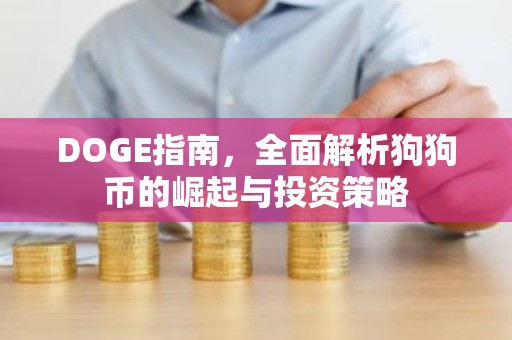 DOGE指南，全面解析狗狗币的崛起与投资策略