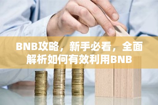 BNB攻略，新手必看，全面解析如何有效利用BNB