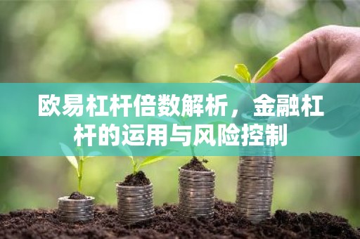 欧易杠杆倍数解析，金融杠杆的运用与风险控制