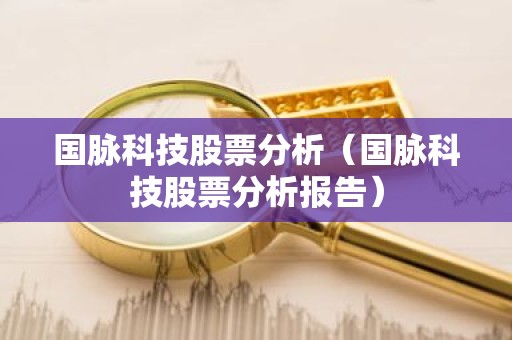国脉科技股票分析（国脉科技股票分析报告）