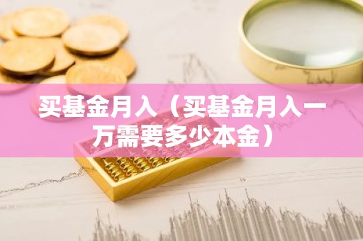 买基金月入（买基金月入一万需要多少本金）